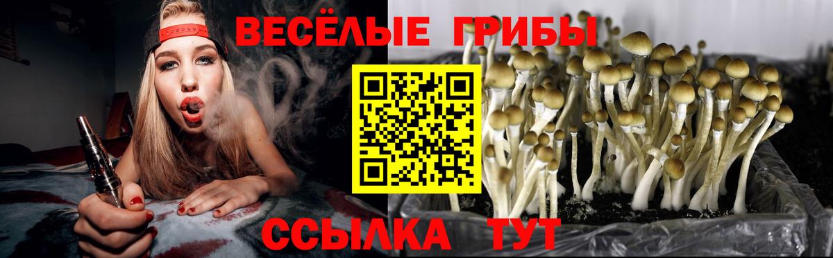 Псилоцибиновые грибы мухоморы  Псилоцибиновые грибы Psilocybe  Кубинка  Вход с VPN 